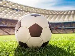 拳坛巨星或,将挑战菲国,政坛,欧博官网,ABG欧博官网,欧博官网在线娱乐平台