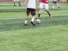 热那亚主场,烽火燃,意甲劲旅对,欧博官网,ABG欧博官网,欧博官网在线娱乐平台